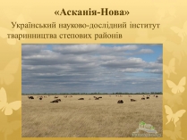 Презентація на тему «Асканія Нова» (варіант 7)