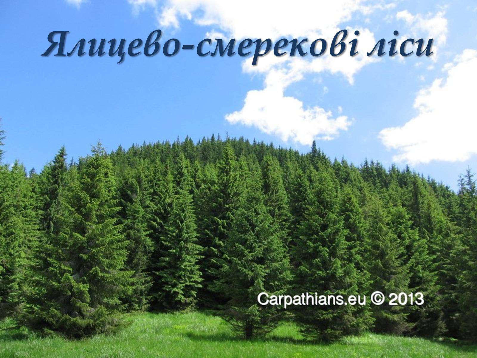 Презентація на тему «Карпати» (варіант 3) - Слайд #14 Презентація на тему «Карпати» (варіант 3) - Слайд #14