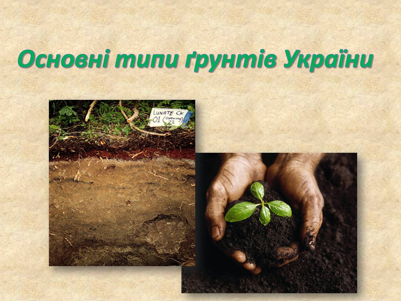 Презентація на тему «Основні типи ґрунтів України» - Слайд #1 Презентація на тему «Основні типи ґрунтів України» - Слайд #1