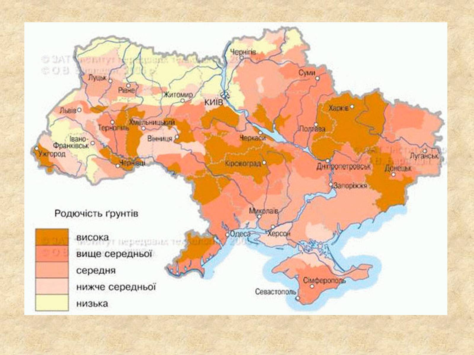 Презентація на тему «Основні типи ґрунтів України» - Слайд #12 Презентація на тему «Основні типи ґрунтів України» - Слайд #12