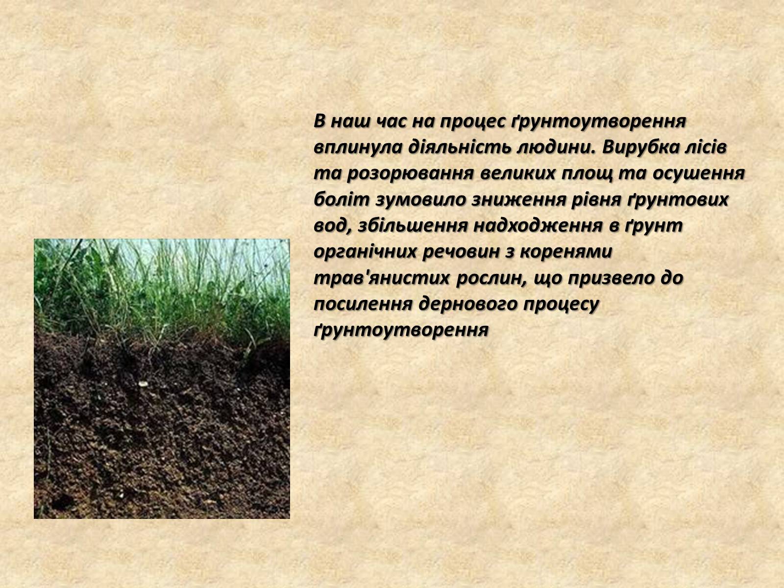 Презентація на тему «Основні типи ґрунтів України» - Слайд #5 Презентація на тему «Основні типи ґрунтів України» - Слайд #5