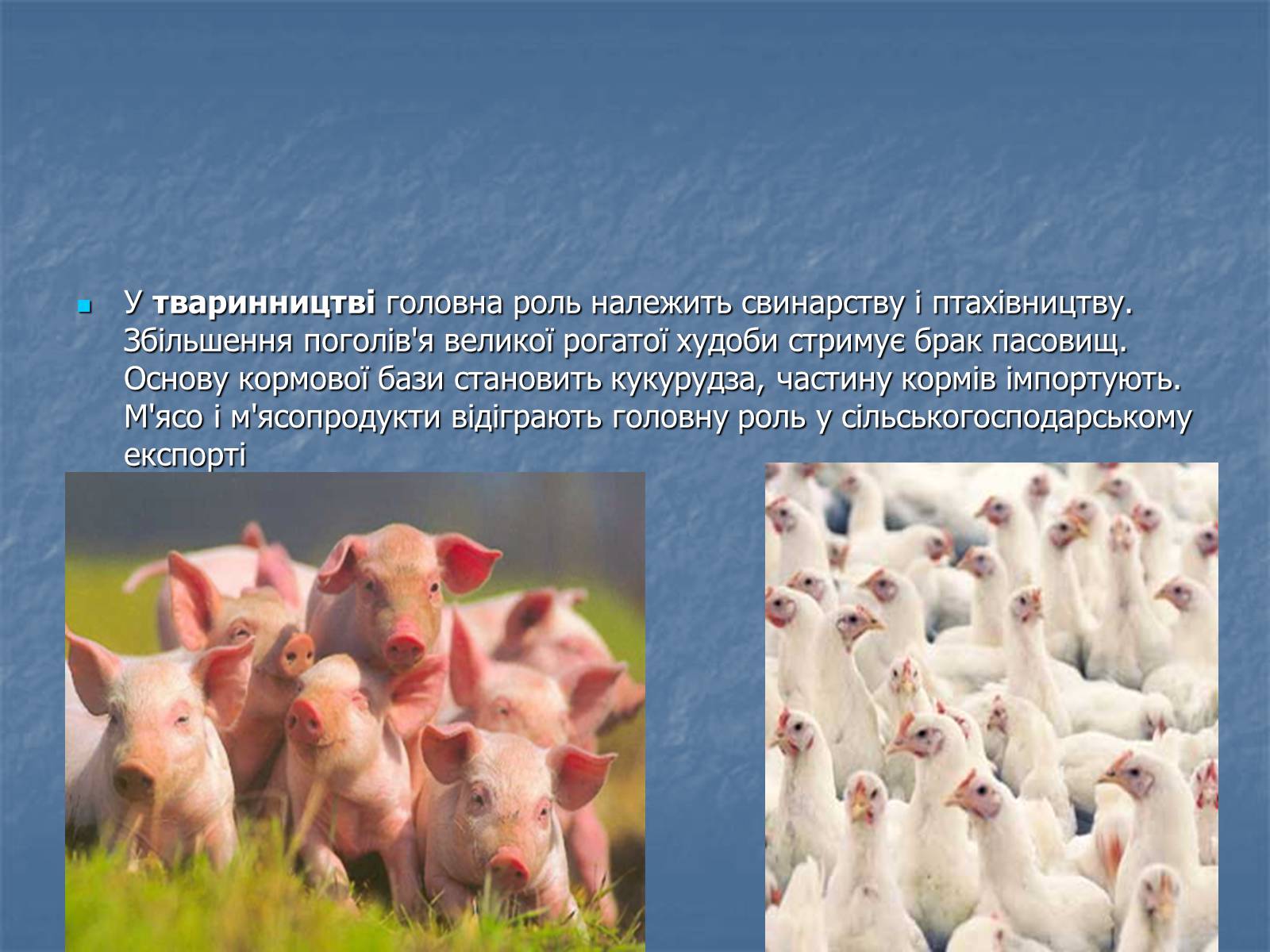 Презентація на тему «Угорщина» (варіант 11) - Слайд #11 Презентація на тему «Угорщина» (варіант 11) - Слайд #11