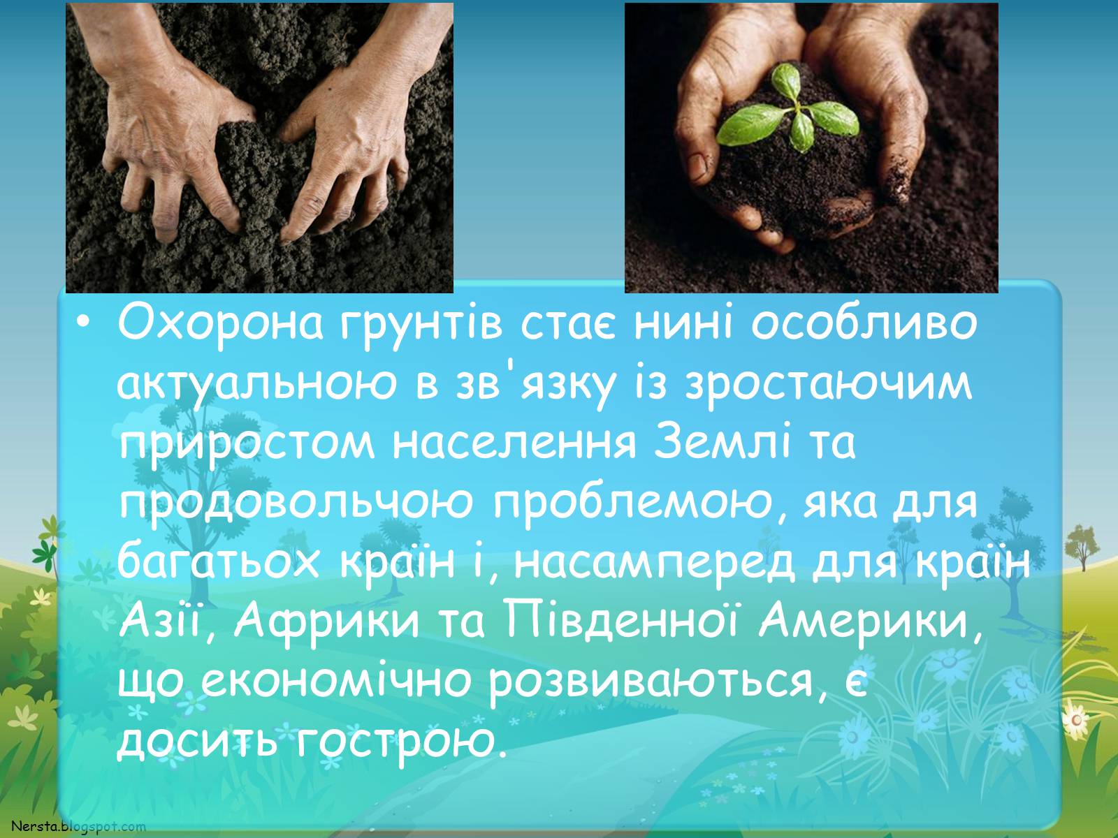 Презентація на тему «Екологічне виховання» - Слайд #20 Презентація на тему «Екологічне виховання» - Слайд #20