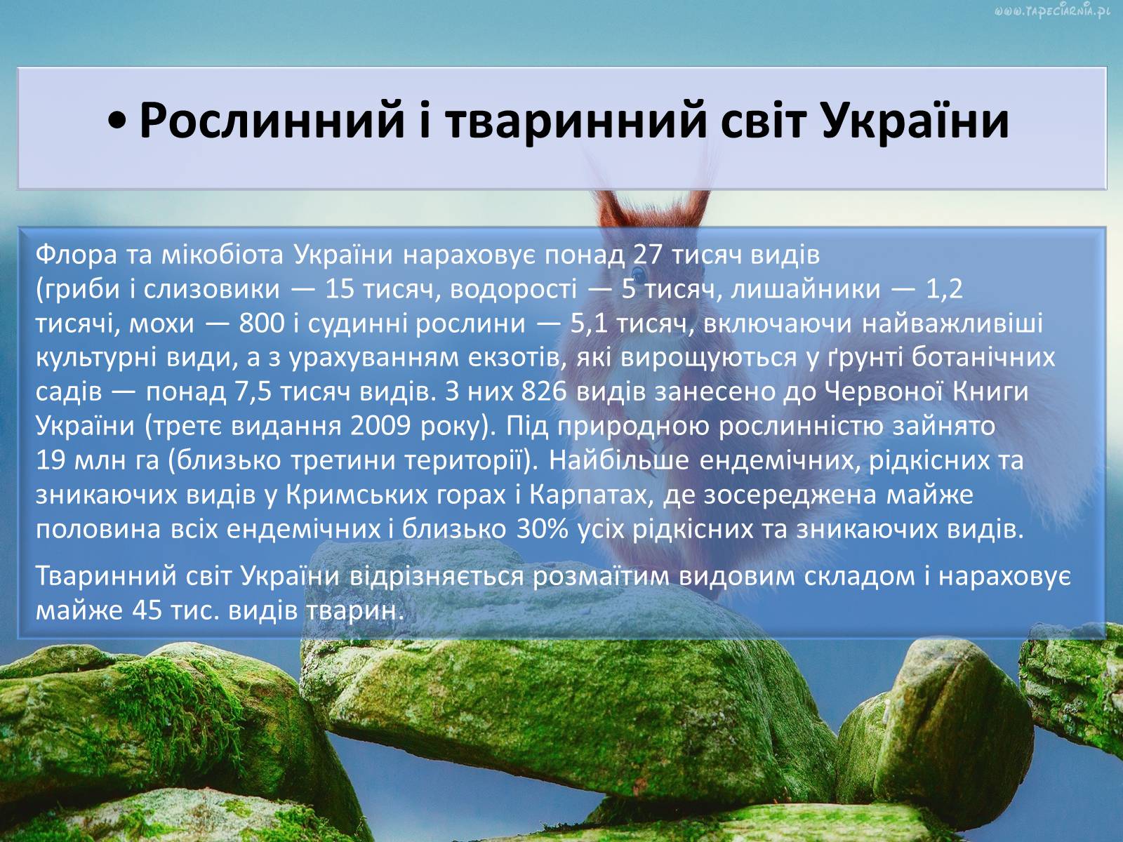 Презентація на тему «Природні ресурси України» - Слайд #11 Презентація на тему «Природні ресурси України» - Слайд #11