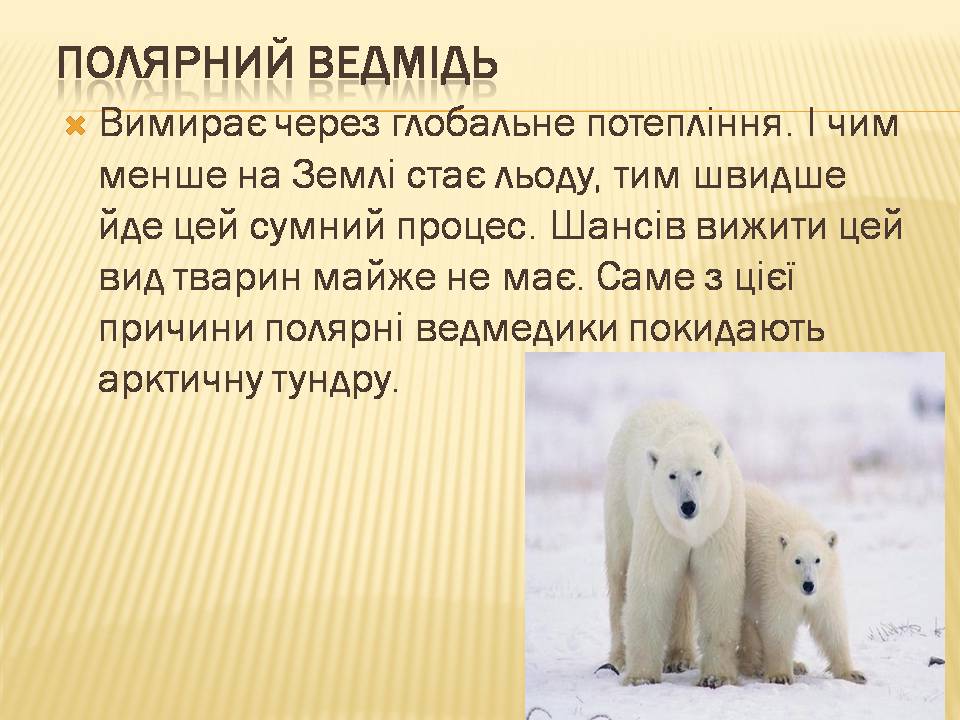 Презентація на тему «Екологічні проблеми людства» (варіант 7) - Слайд #13 Презентація на тему «Екологічні проблеми людства» (варіант 7) - Слайд #13