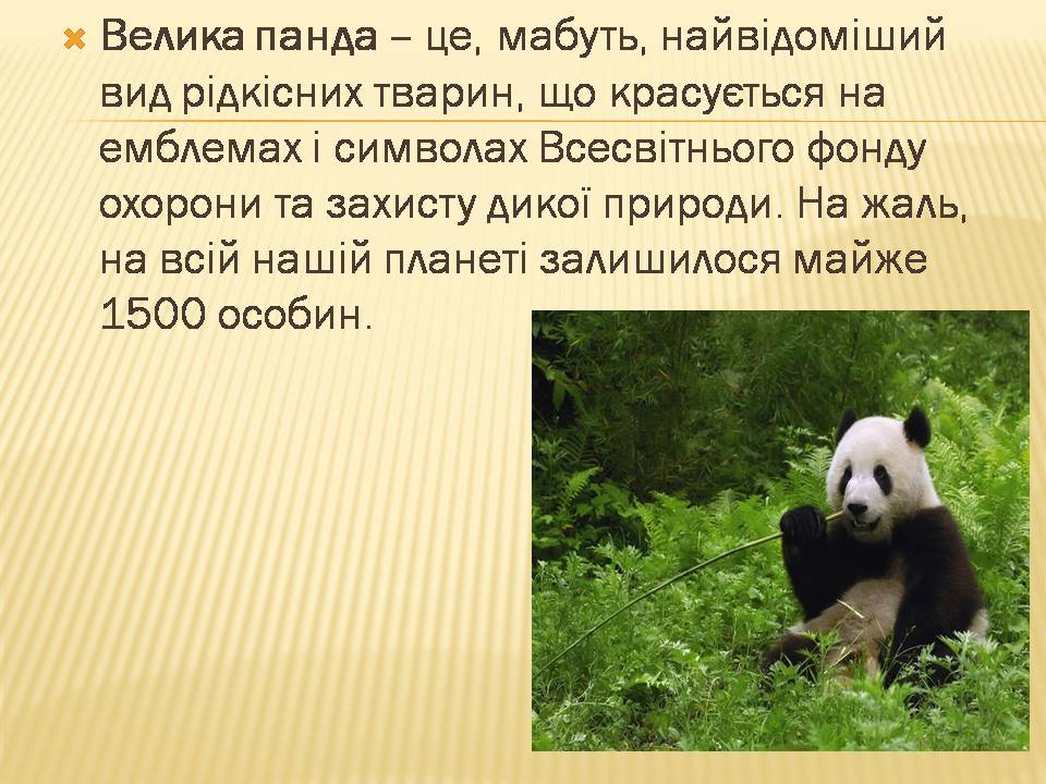 Презентація на тему «Екологічні проблеми людства» (варіант 7) - Слайд #14 Презентація на тему «Екологічні проблеми людства» (варіант 7) - Слайд #14