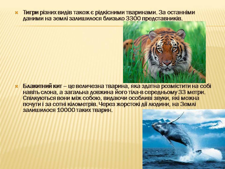 Презентація на тему «Екологічні проблеми людства» (варіант 7) - Слайд #16 Презентація на тему «Екологічні проблеми людства» (варіант 7) - Слайд #16
