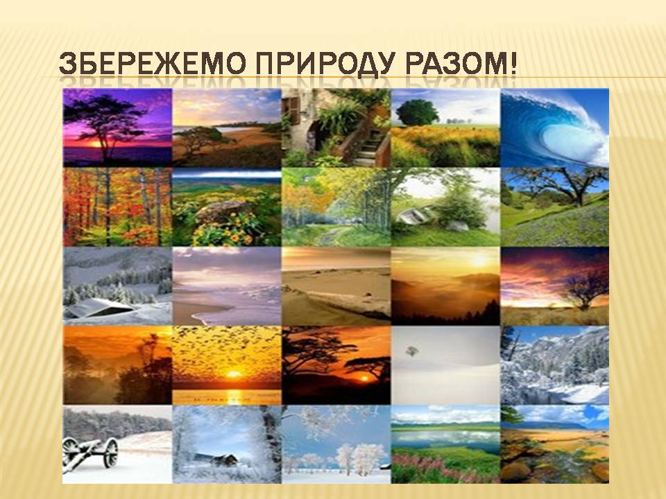 Презентація на тему «Екологічні проблеми людства» (варіант 7) - Слайд #27 Презентація на тему «Екологічні проблеми людства» (варіант 7) - Слайд #27