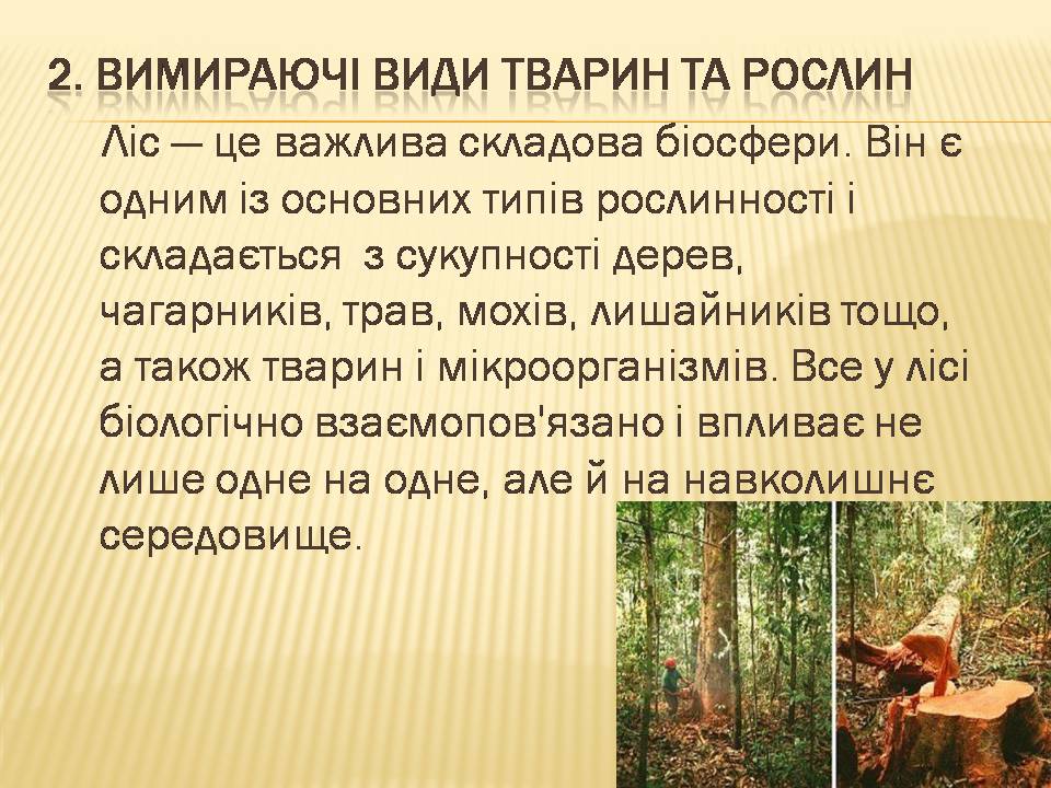 Презентація на тему «Екологічні проблеми людства» (варіант 7) - Слайд #9 Презентація на тему «Екологічні проблеми людства» (варіант 7) - Слайд #9