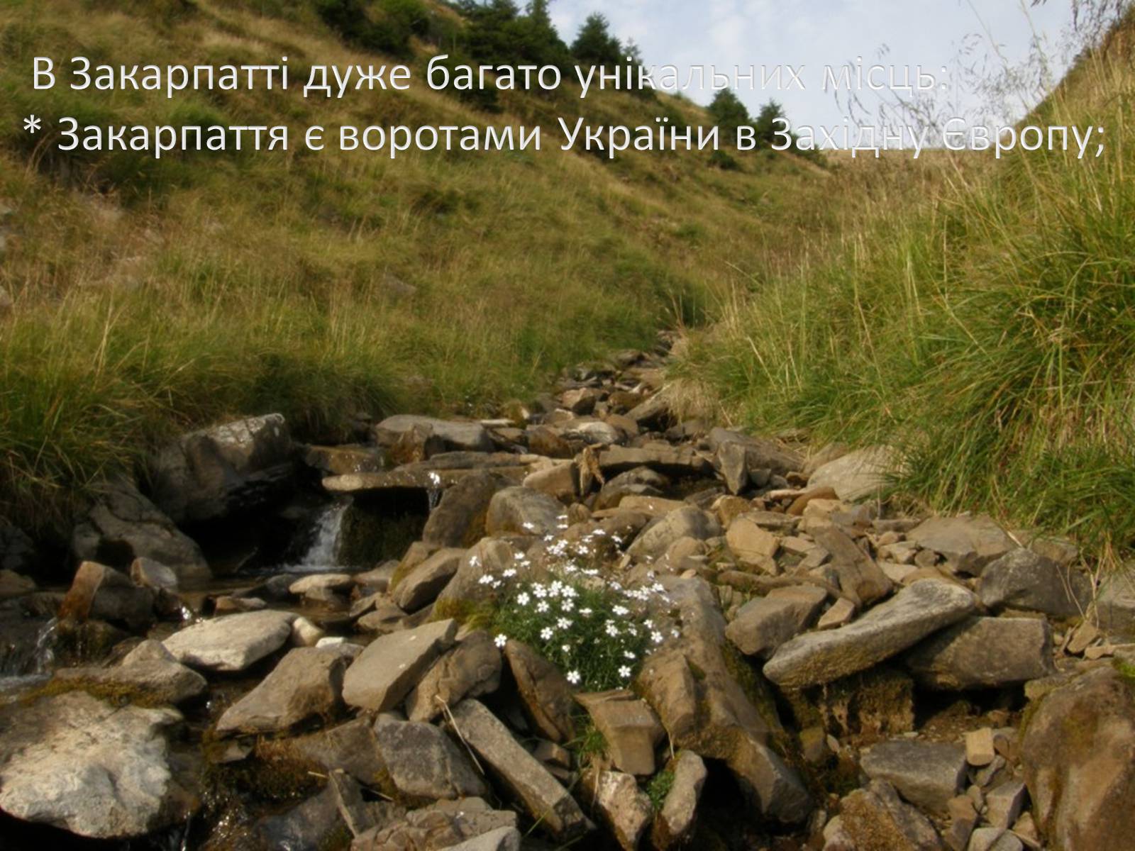 Презентація на тему «Закарпаття» - Слайд #12 Презентація на тему «Закарпаття» - Слайд #12