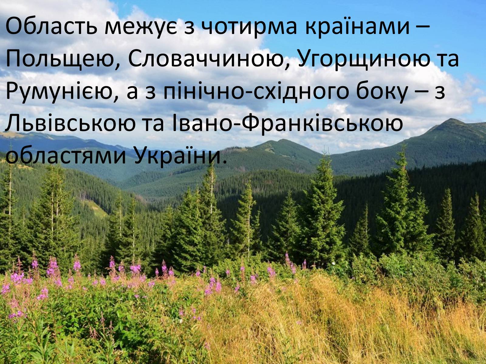 Презентація на тему «Закарпаття» - Слайд #9 Презентація на тему «Закарпаття» - Слайд #9