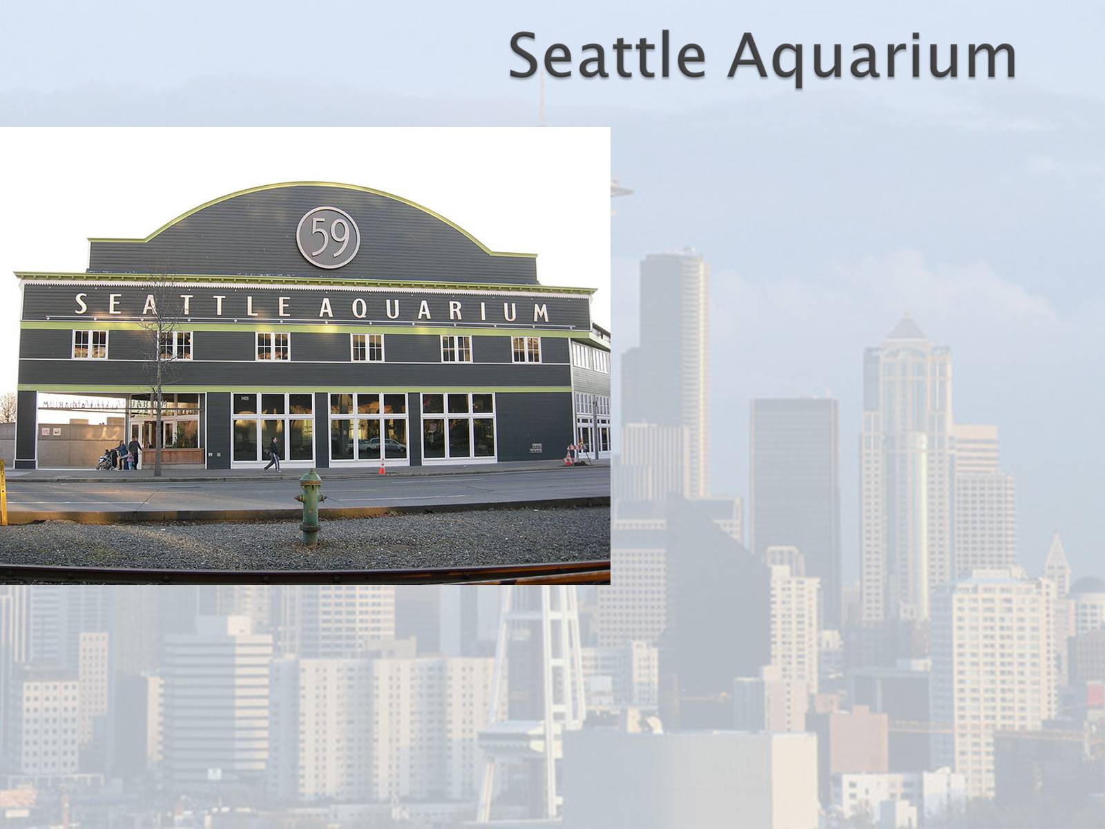 Презентація на тему «Seattle» (варіант 1) - Слайд #25 Презентація на тему «Seattle» (варіант 1) - Слайд #25