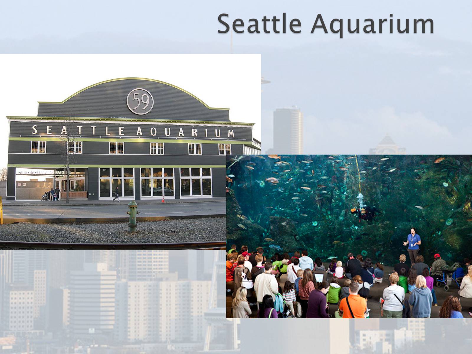 Презентація на тему «Seattle» (варіант 1) - Слайд #26 Презентація на тему «Seattle» (варіант 1) - Слайд #26
