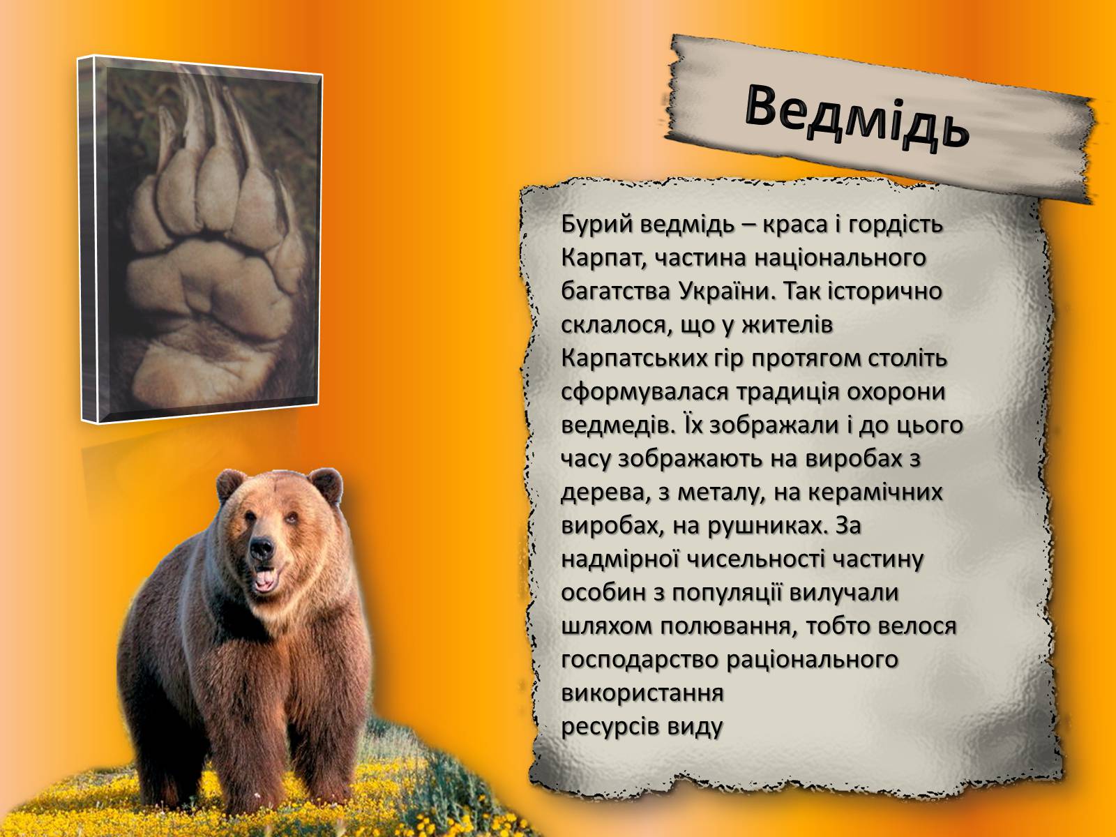 Презентація на тему «Карпати» (варіант 1) - Слайд #29 Презентація на тему «Карпати» (варіант 1) - Слайд #29
