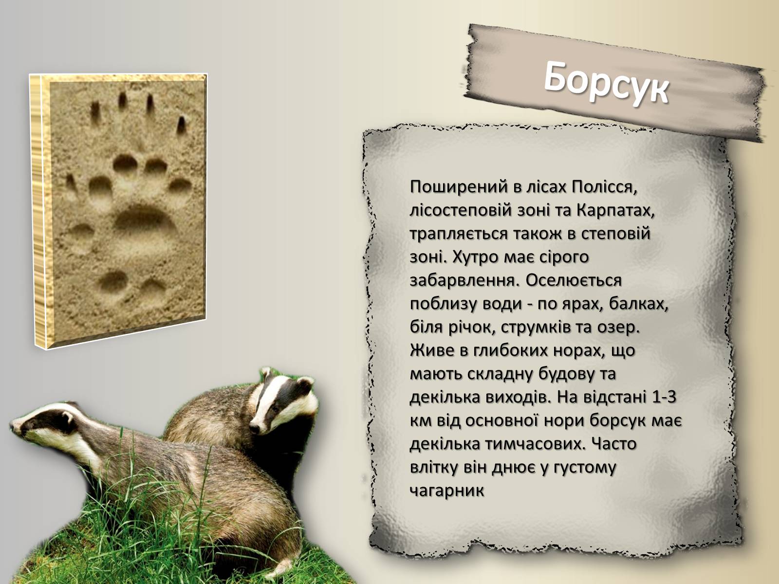 Презентація на тему «Карпати» (варіант 1) - Слайд #33 Презентація на тему «Карпати» (варіант 1) - Слайд #33