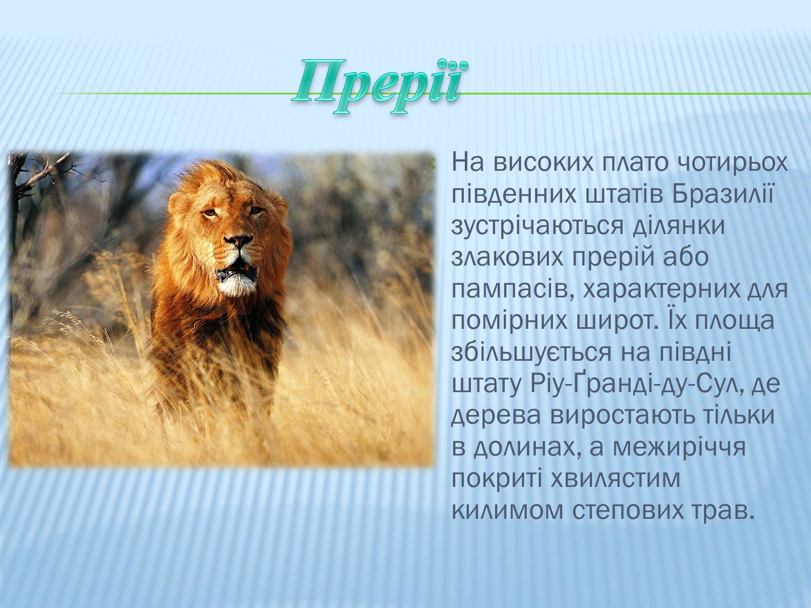 Презентація на тему «Бразилія» (варіант 1) - Слайд #16 Презентація на тему «Бразилія» (варіант 1) - Слайд #16