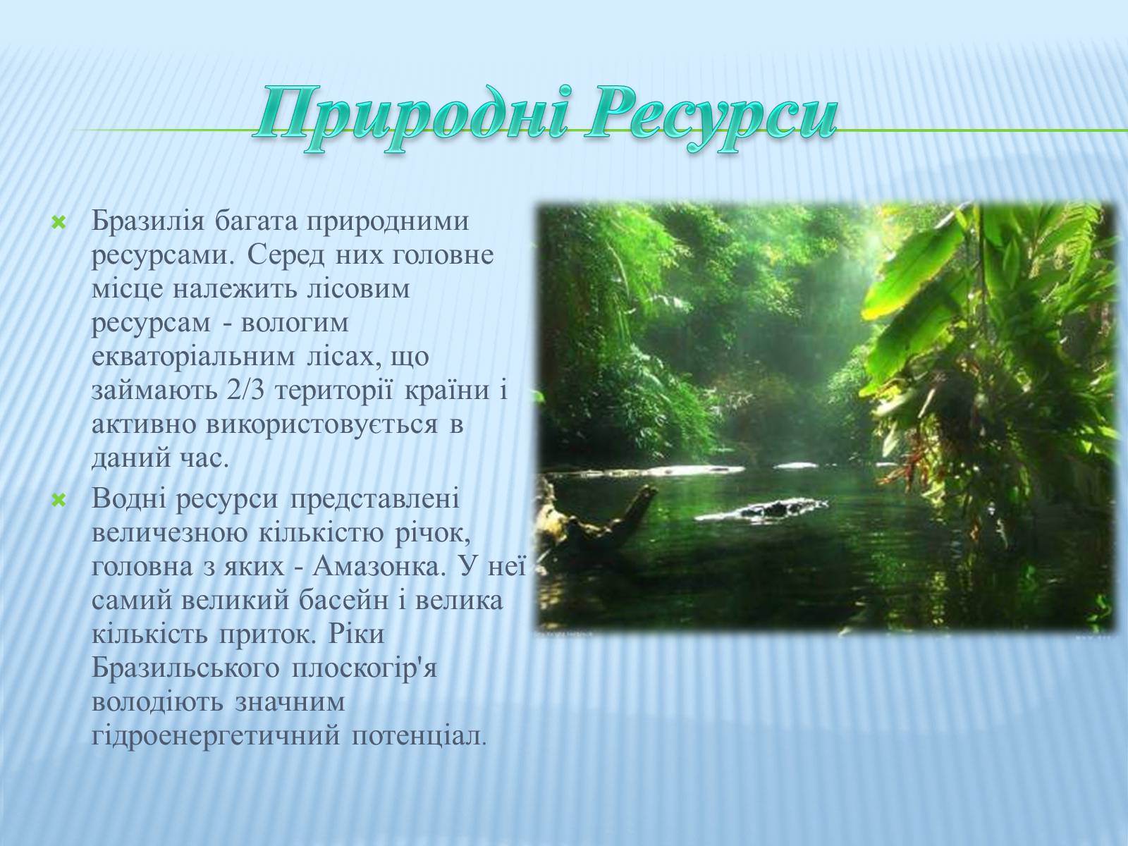 Презентація на тему «Бразилія» (варіант 1) - Слайд #7 Презентація на тему «Бразилія» (варіант 1) - Слайд #7