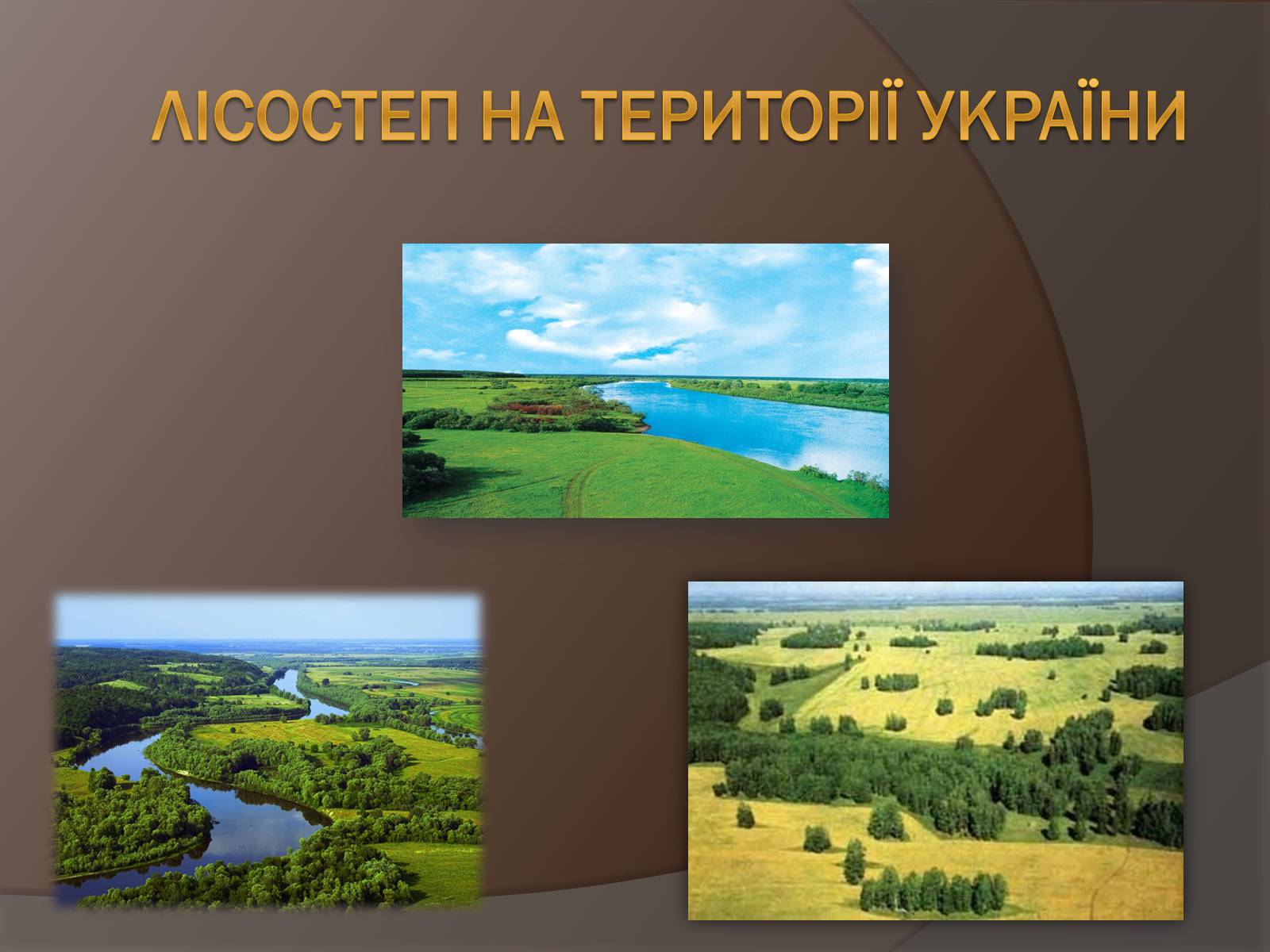 Презентація на тему «Лісостеп на території України» - Слайд #1 Презентація на тему «Лісостеп на території України» - Слайд #1