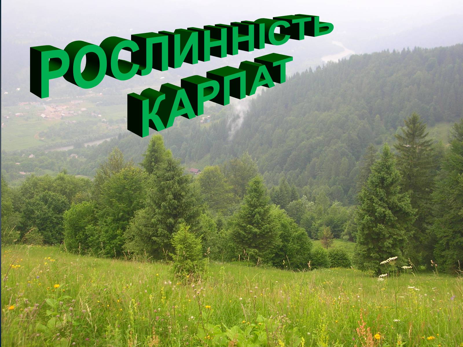 Презентація на тему «Українські Карпати» (варіант 8) - Слайд #12 Презентація на тему «Українські Карпати» (варіант 8) - Слайд #12