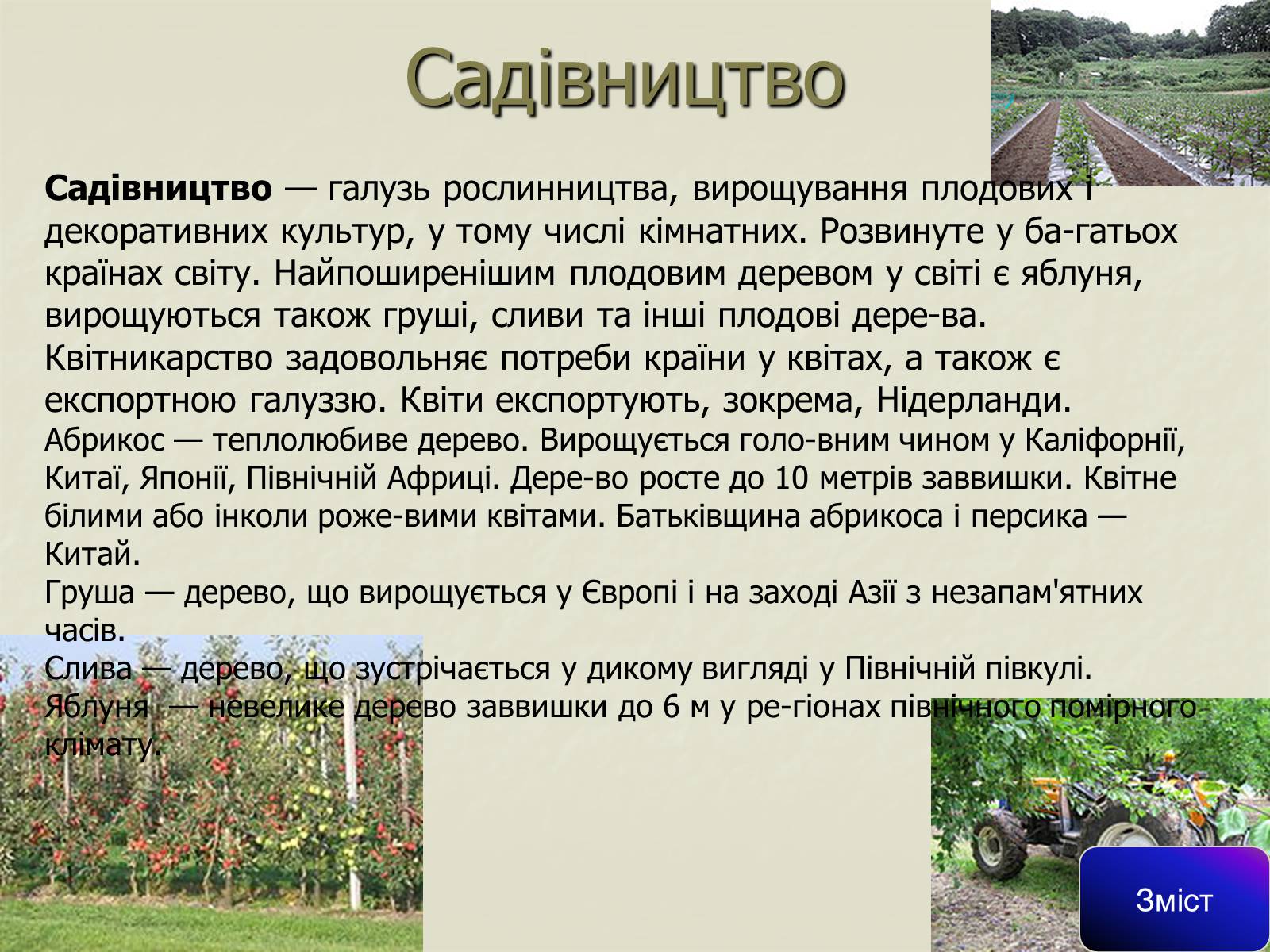 Презентація на тему «Сільське господарство світу» (варіант 1) - Слайд #11 Презентація на тему «Сільське господарство світу» (варіант 1) - Слайд #11