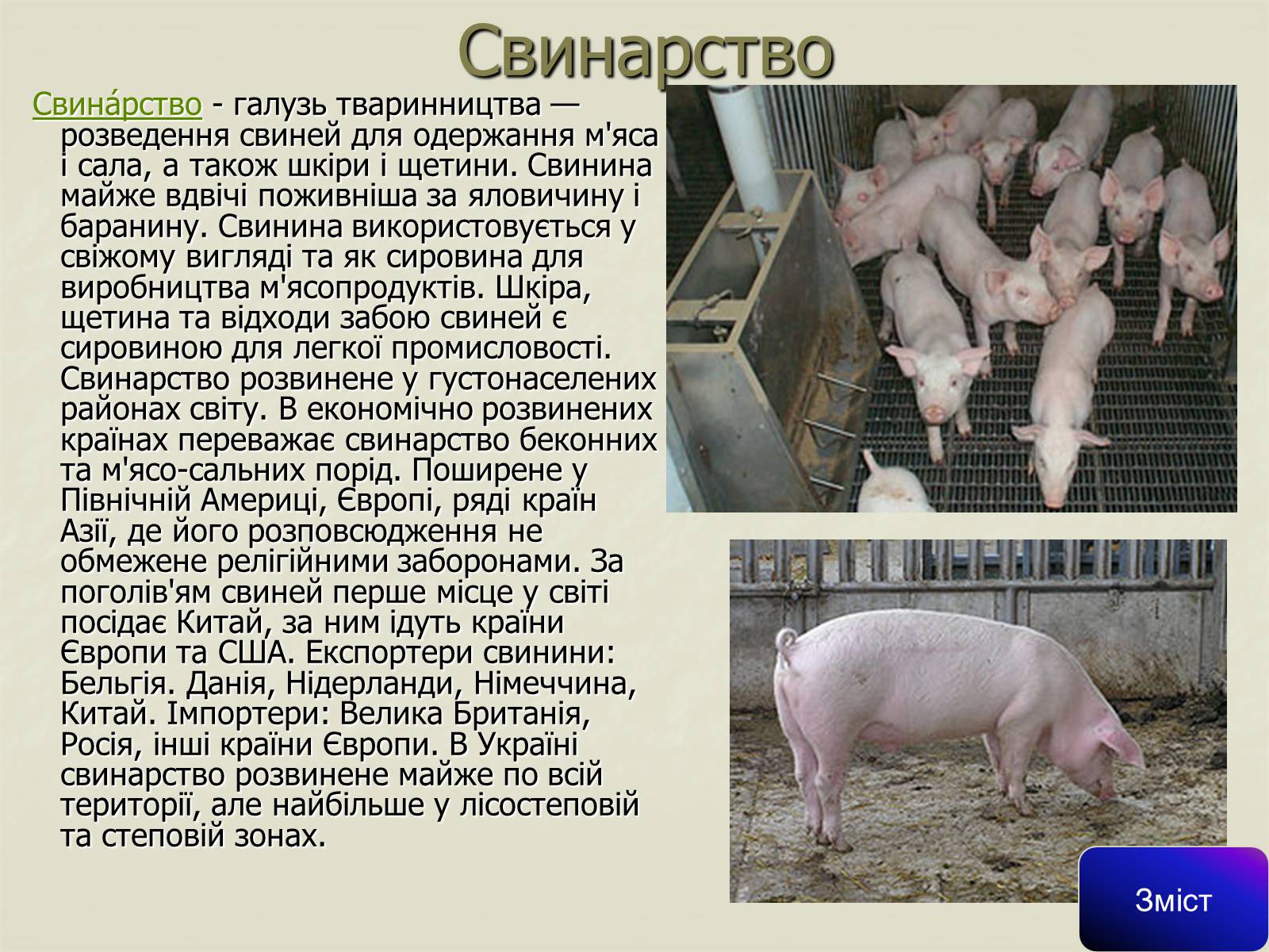 Презентація на тему «Сільське господарство світу» (варіант 1) - Слайд #17 Презентація на тему «Сільське господарство світу» (варіант 1) - Слайд #17