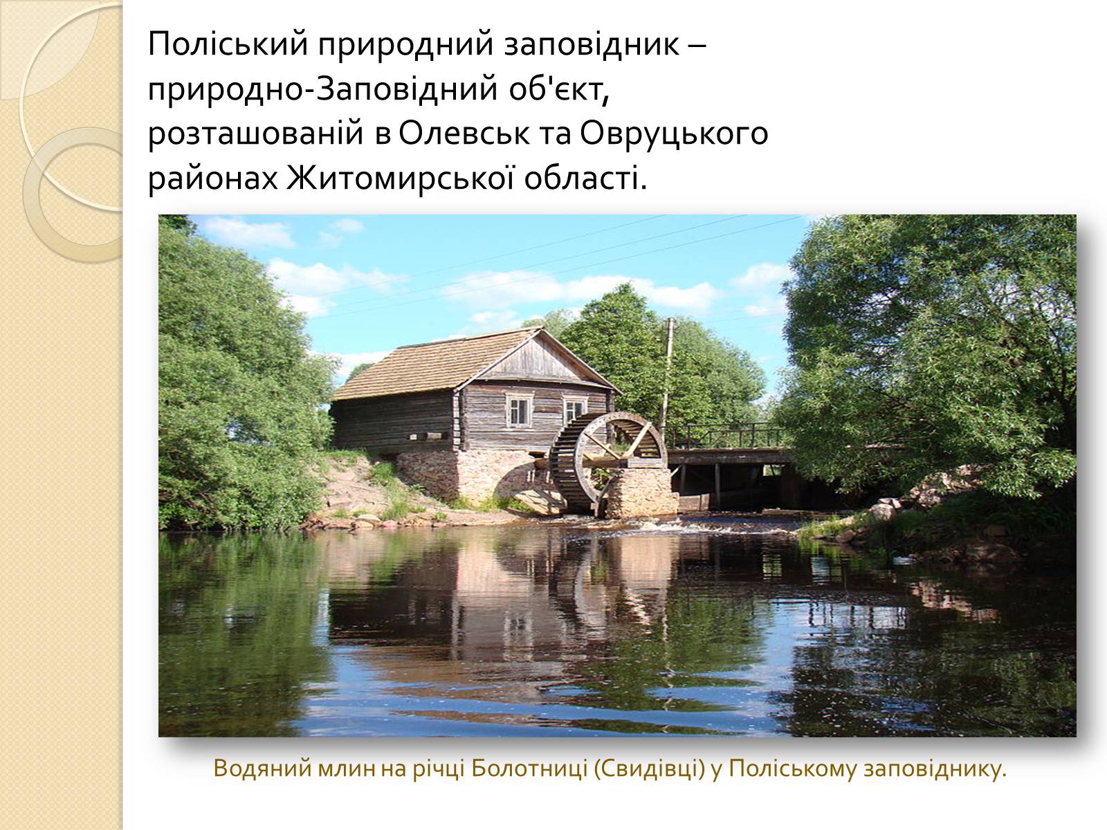 Презентація на тему «Поліський державний заповідник» - Слайд #2 Презентація на тему «Поліський державний заповідник» - Слайд #2