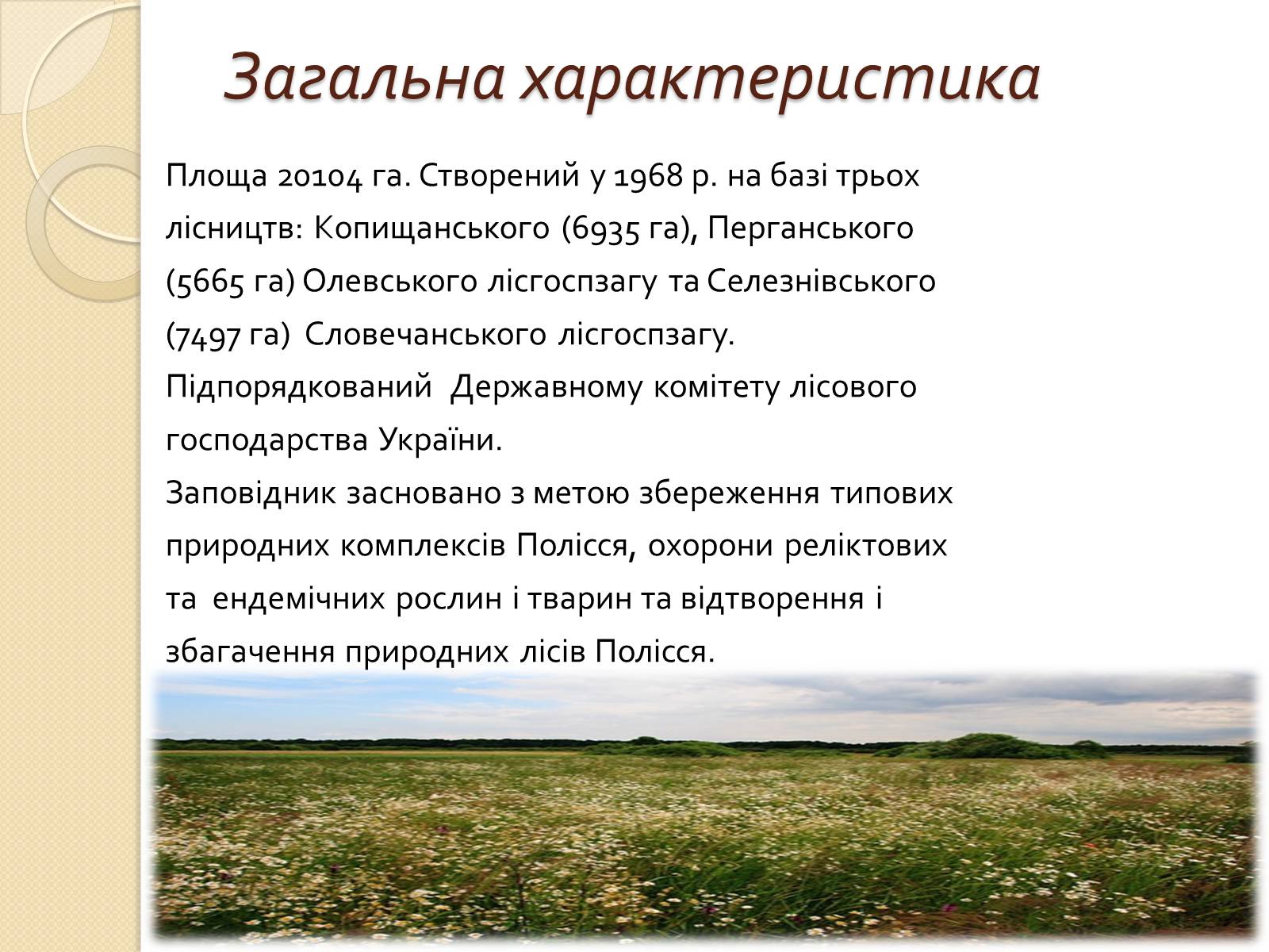 Презентація на тему «Поліський державний заповідник» - Слайд #4 Презентація на тему «Поліський державний заповідник» - Слайд #4