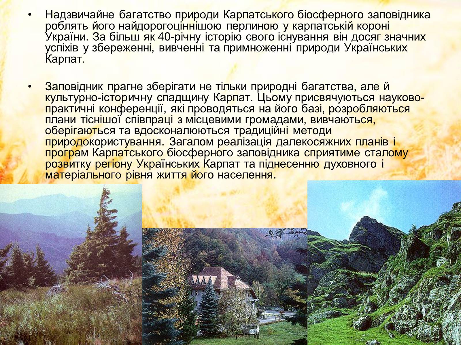 Презентація на тему «Карпатський біосферний заповідник» (варіант 2) - Слайд #14 Презентація на тему «Карпатський біосферний заповідник» (варіант 2) - Слайд #14