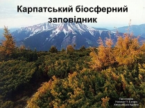 Презентація на тему «Карпатський біосферний заповідник» (варіант 2)
