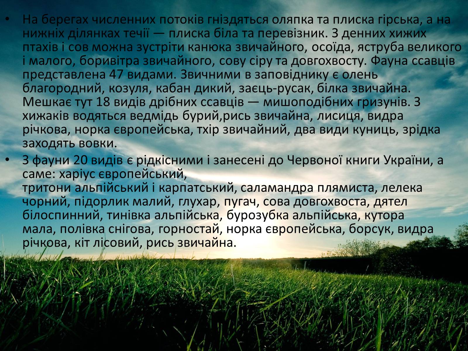 Презентація на тему «Заповідна мережа України» (варіант 3) - Слайд #11 Презентація на тему «Заповідна мережа України» (варіант 3) - Слайд #11