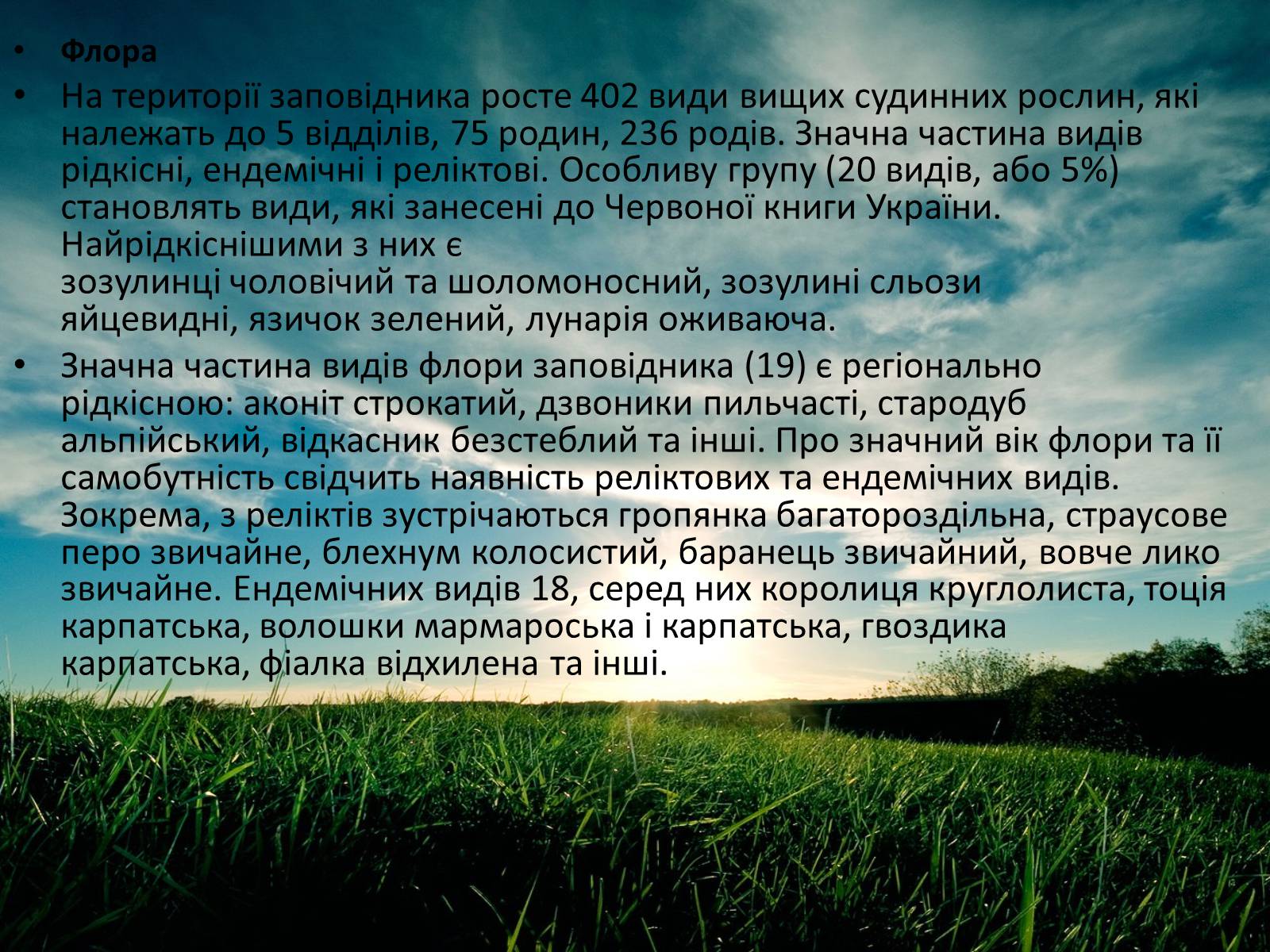 Презентація на тему «Заповідна мережа України» (варіант 3) - Слайд #13 Презентація на тему «Заповідна мережа України» (варіант 3) - Слайд #13