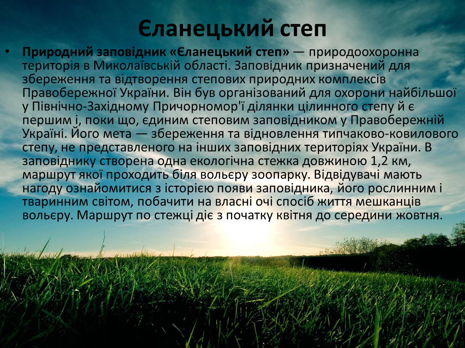 Презентація на тему «Заповідна мережа України» (варіант 3) - Слайд #16 Презентація на тему «Заповідна мережа України» (варіант 3) - Слайд #16
