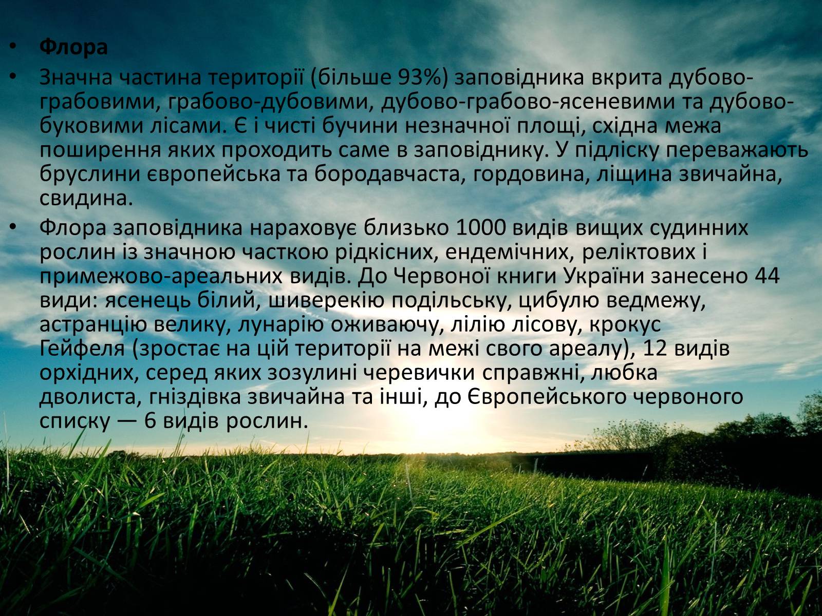 Презентація на тему «Заповідна мережа України» (варіант 3) - Слайд #30 Презентація на тему «Заповідна мережа України» (варіант 3) - Слайд #30