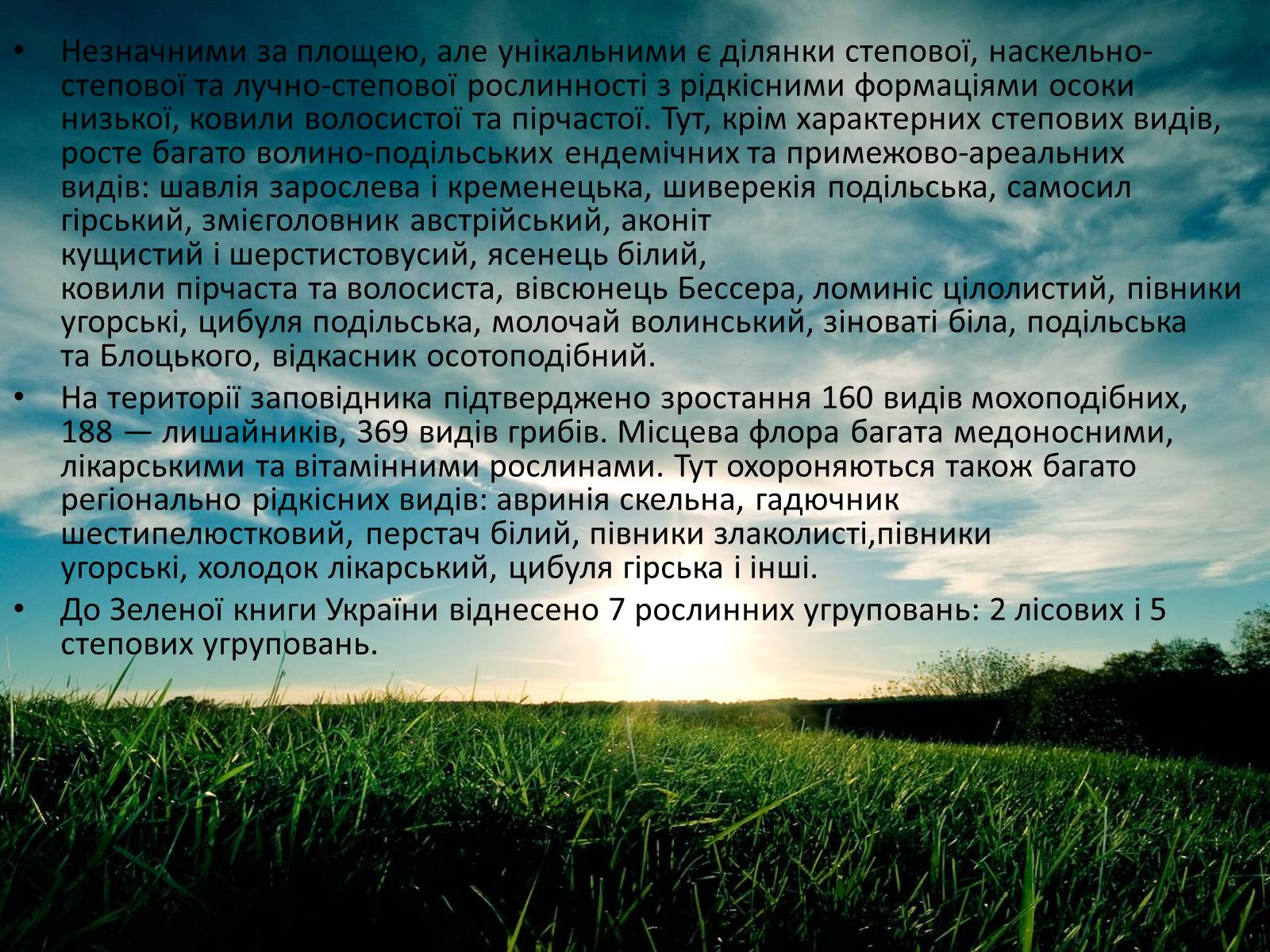 Презентація на тему «Заповідна мережа України» (варіант 3) - Слайд #31 Презентація на тему «Заповідна мережа України» (варіант 3) - Слайд #31