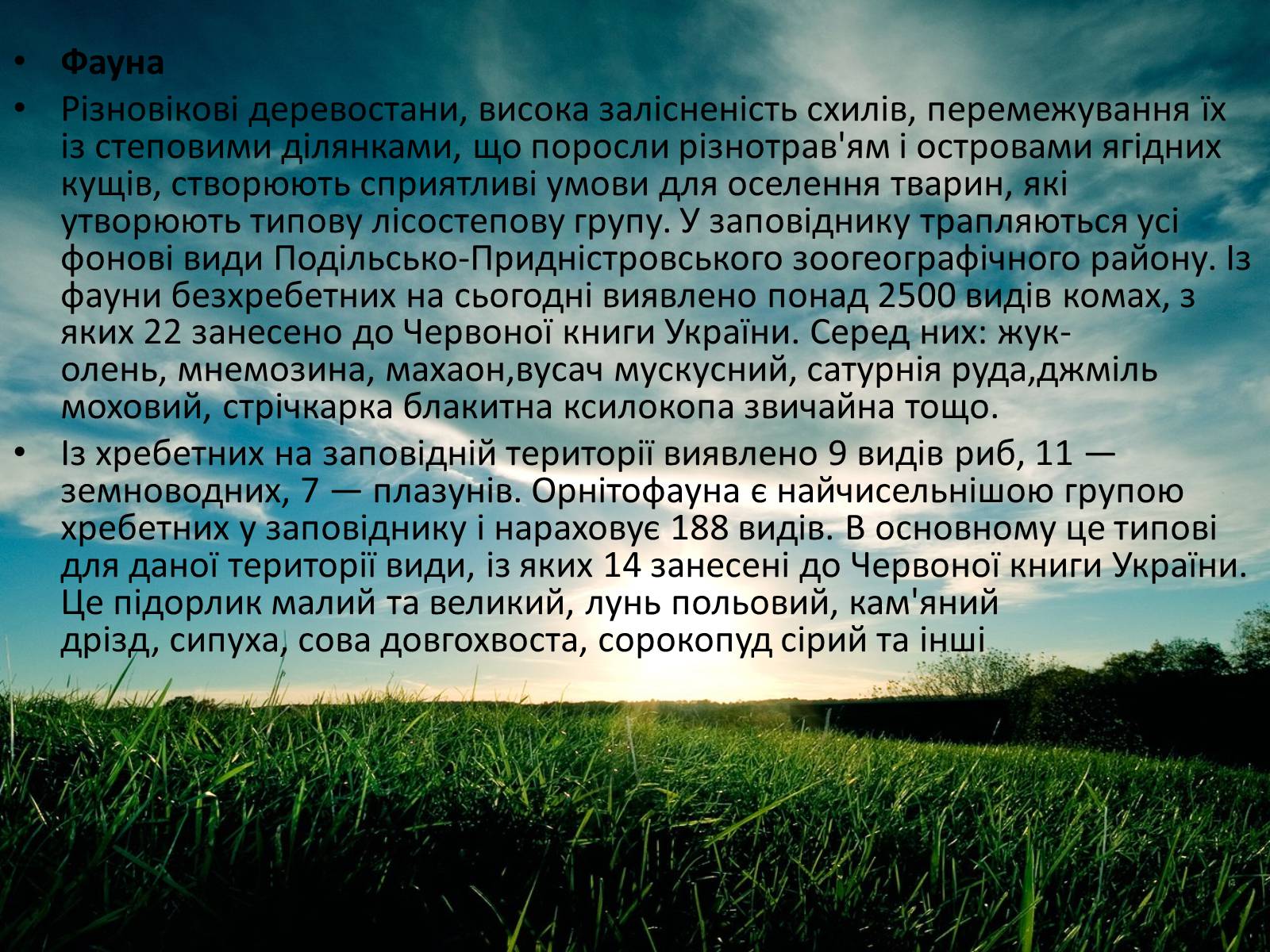 Презентація на тему «Заповідна мережа України» (варіант 3) - Слайд #33 Презентація на тему «Заповідна мережа України» (варіант 3) - Слайд #33