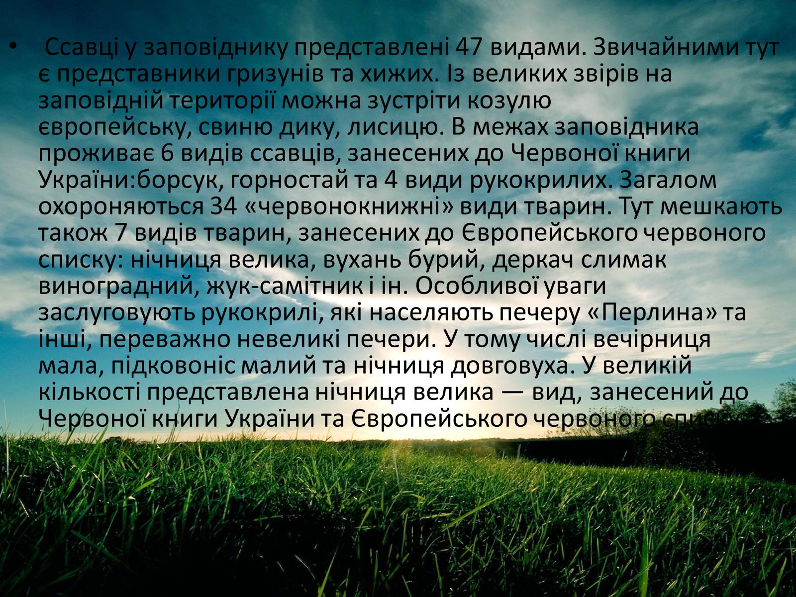 Презентація на тему «Заповідна мережа України» (варіант 3) - Слайд #34 Презентація на тему «Заповідна мережа України» (варіант 3) - Слайд #34