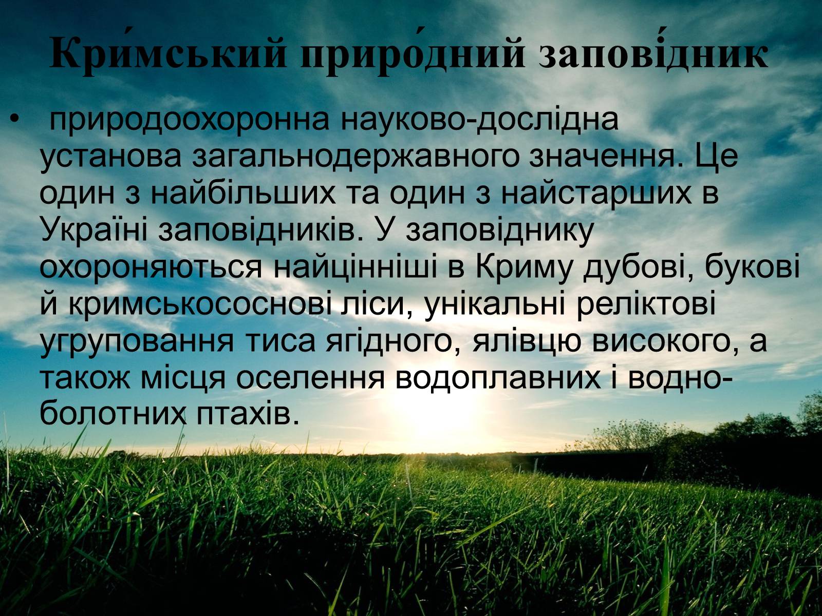 Презентація на тему «Заповідна мережа України» (варіант 3) - Слайд #6 Презентація на тему «Заповідна мережа України» (варіант 3) - Слайд #6