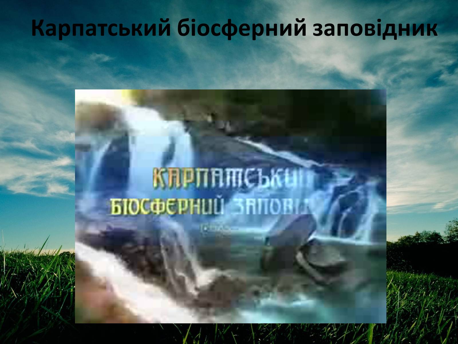 Презентація на тему «Заповідна мережа України» (варіант 3) - Слайд #7 Презентація на тему «Заповідна мережа України» (варіант 3) - Слайд #7