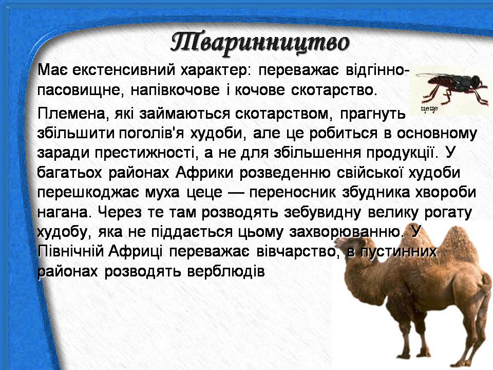 Презентація на тему «Африка» (варіант 18) - Слайд #22 Презентація на тему «Африка» (варіант 18) - Слайд #22