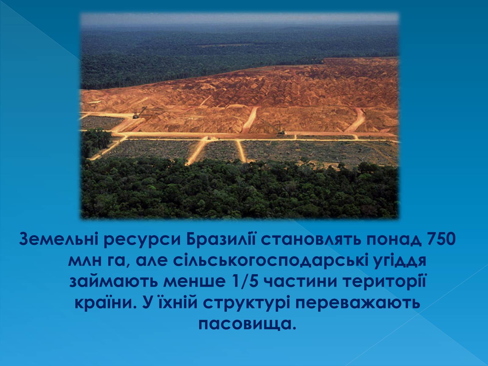 Презентація на тему «Бразилія» (варіант 13) - Слайд #19 Презентація на тему «Бразилія» (варіант 13) - Слайд #19