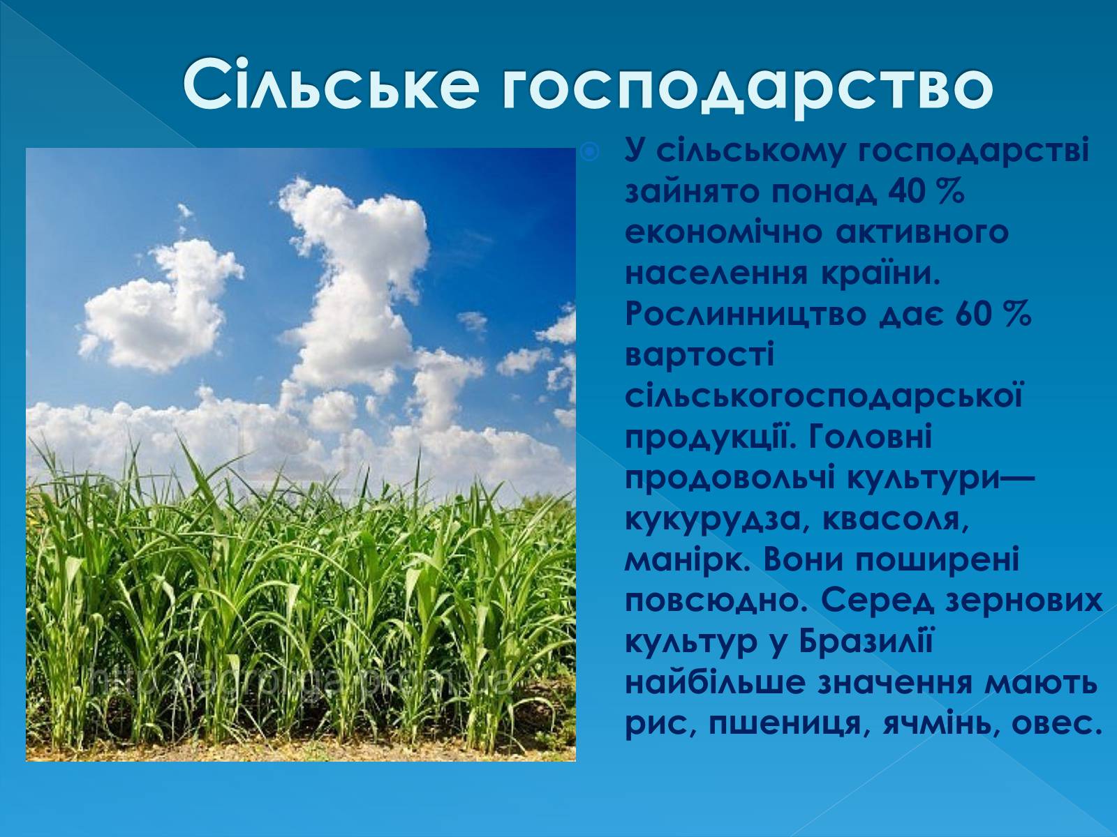 Презентація на тему «Бразилія» (варіант 13) - Слайд #21 Презентація на тему «Бразилія» (варіант 13) - Слайд #21