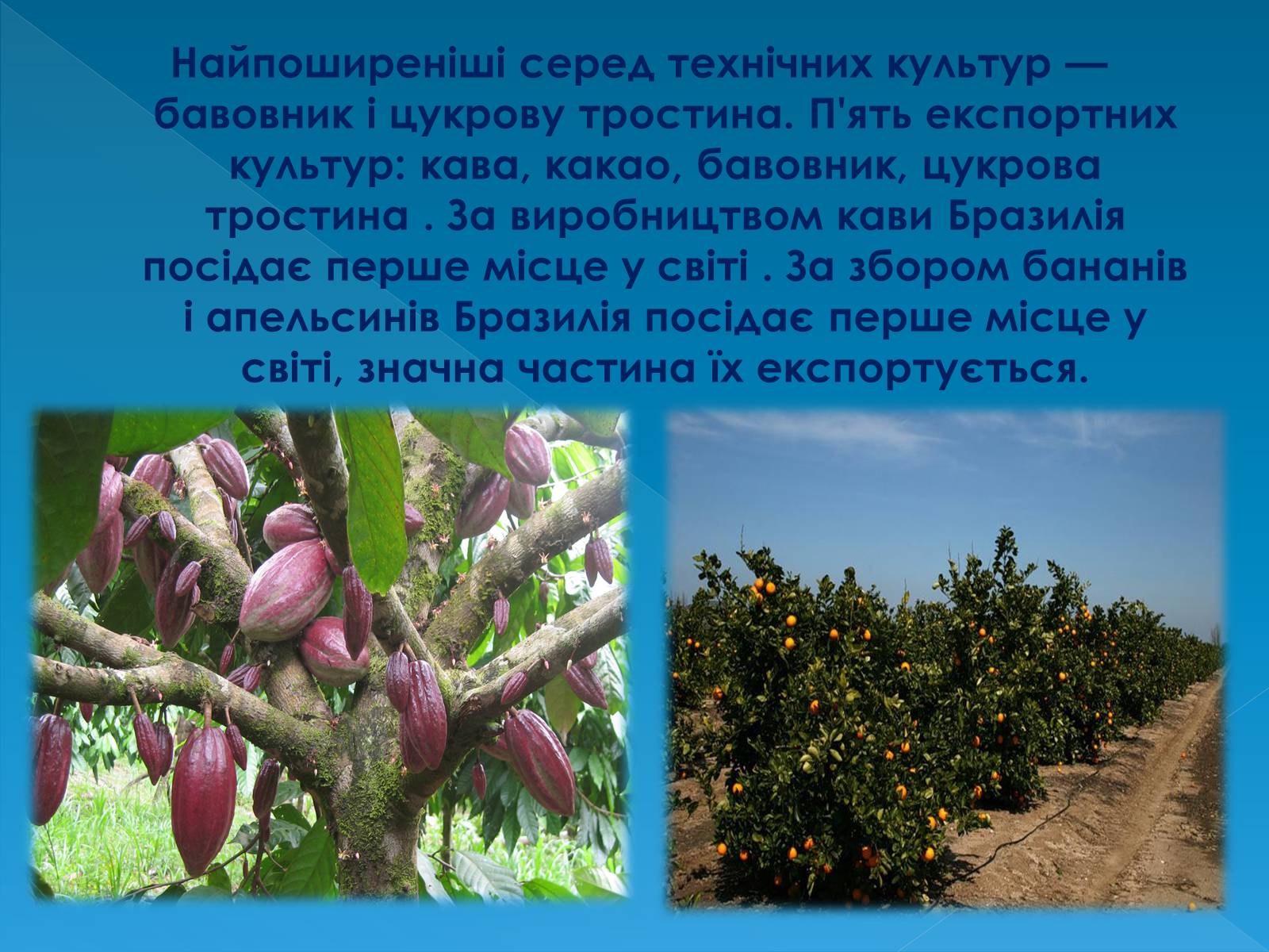 Презентація на тему «Бразилія» (варіант 13) - Слайд #22 Презентація на тему «Бразилія» (варіант 13) - Слайд #22