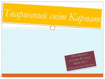 Презентація на тему «Тваринний світ Карпат»