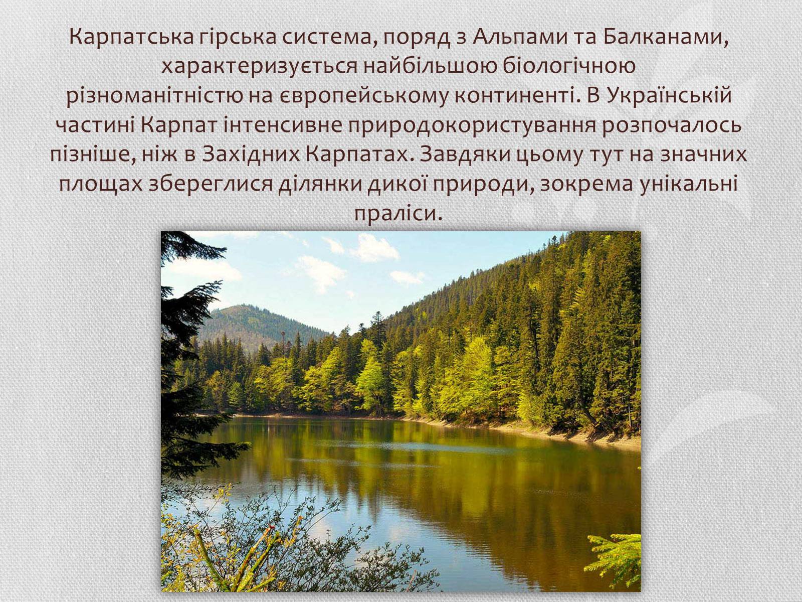 Презентація на тему «Карпатський біосферний заповідник» (варіант 1) - Слайд #2 Презентація на тему «Карпатський біосферний заповідник» (варіант 1) - Слайд #2