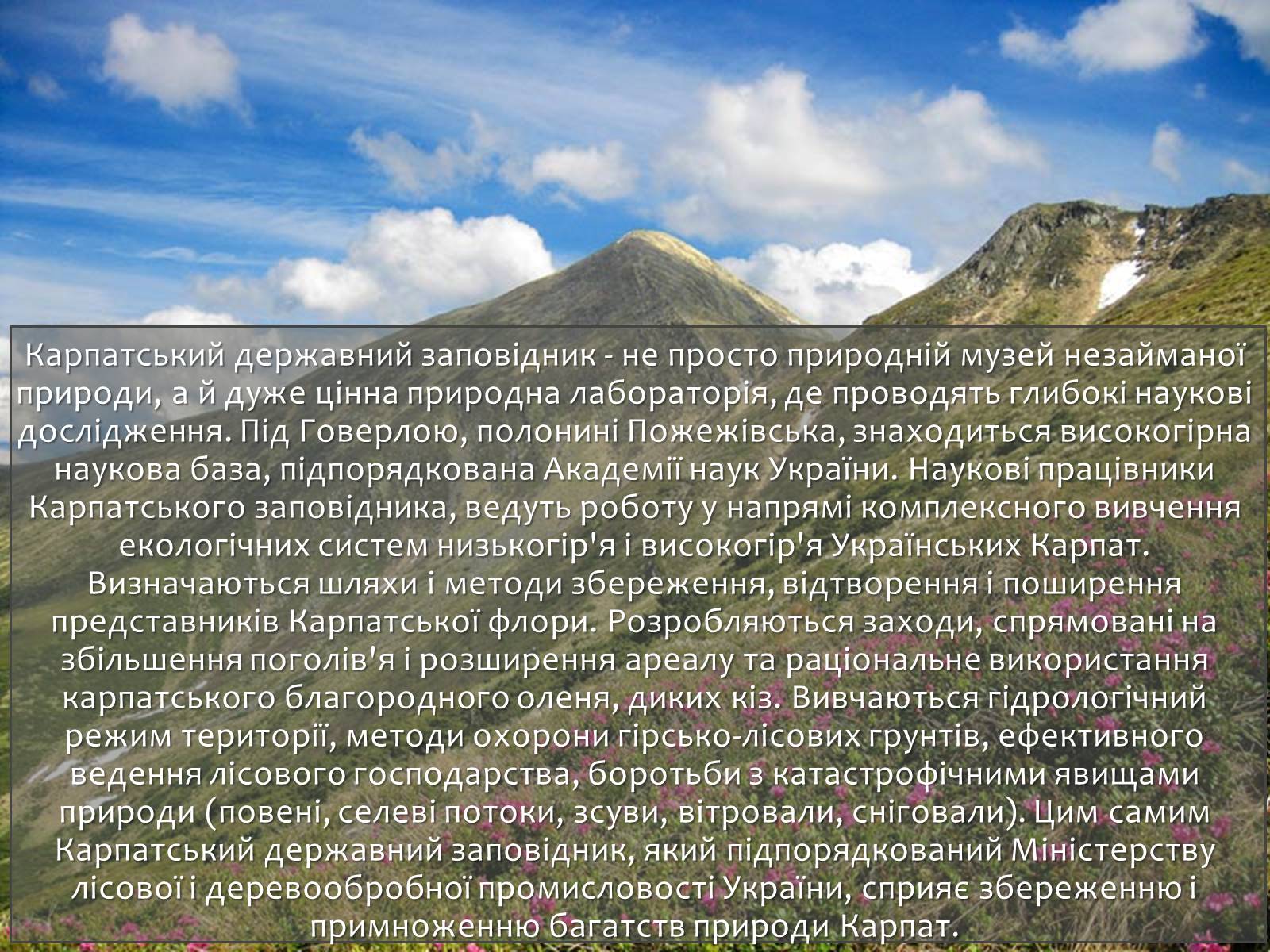 Презентація на тему «Карпатський біосферний заповідник» (варіант 1) - Слайд #30 Презентація на тему «Карпатський біосферний заповідник» (варіант 1) - Слайд #30