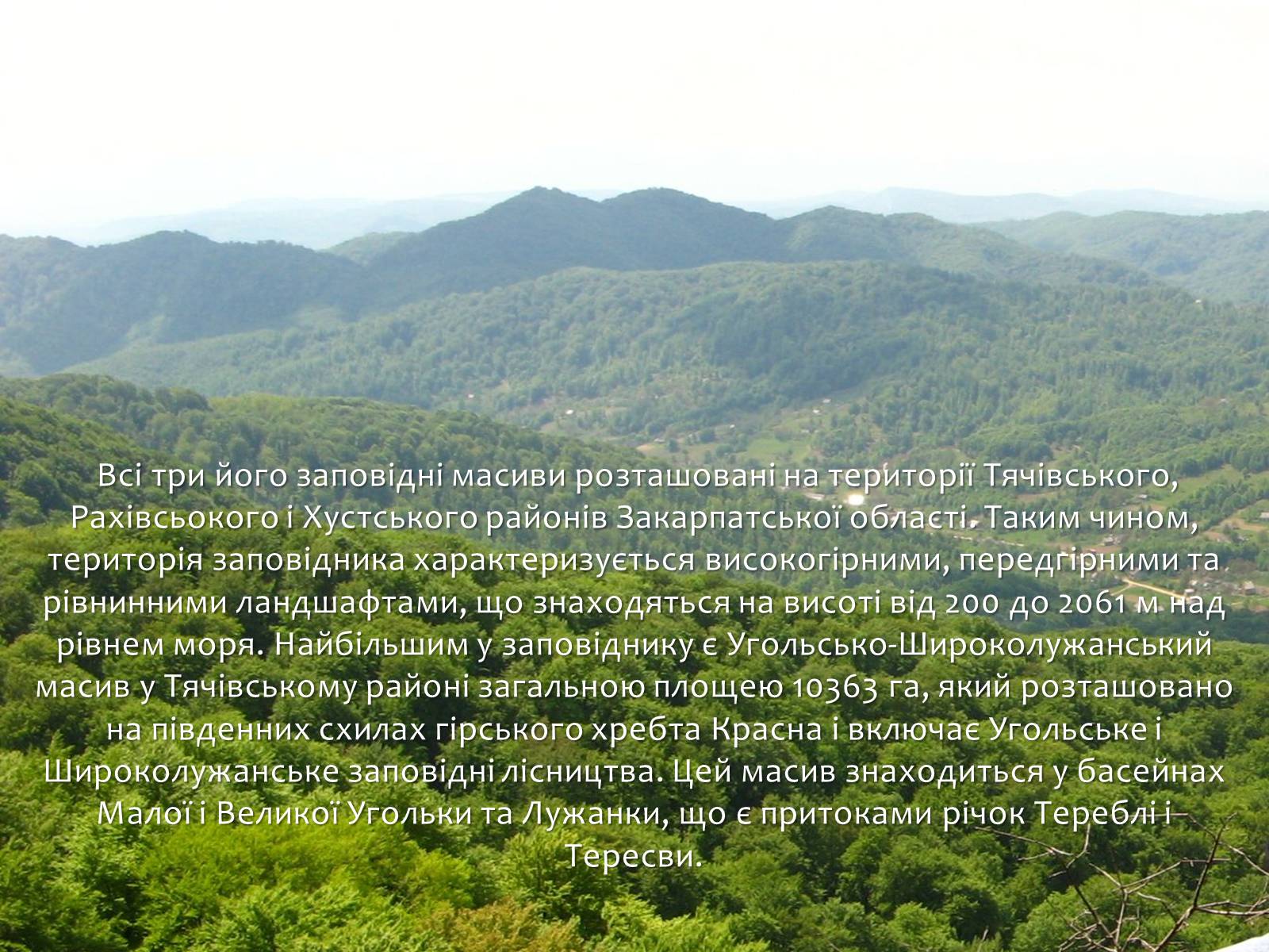 Презентація на тему «Карпатський біосферний заповідник» (варіант 1) - Слайд #7 Презентація на тему «Карпатський біосферний заповідник» (варіант 1) - Слайд #7