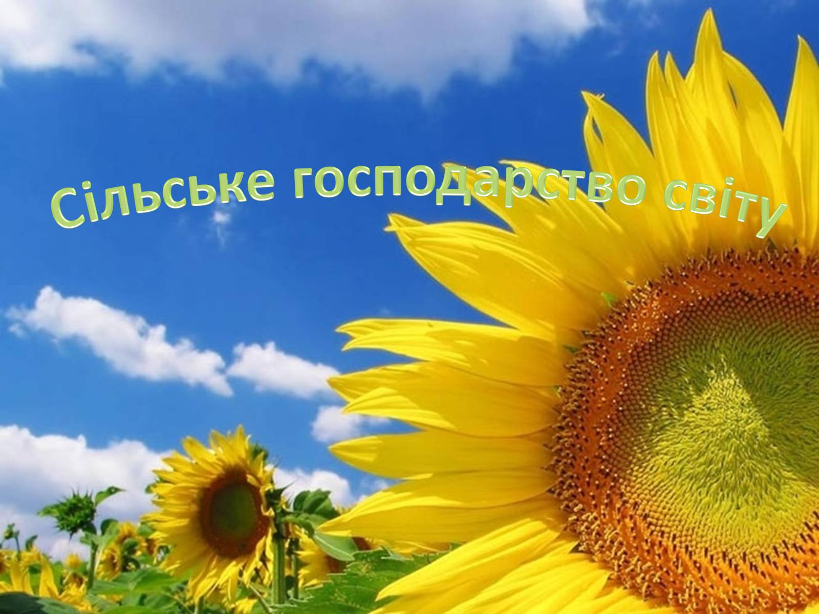 Презентація на тему «Сільське господарство світу» (варіант 2) - Слайд #1 Презентація на тему «Сільське господарство світу» (варіант 2) - Слайд #1