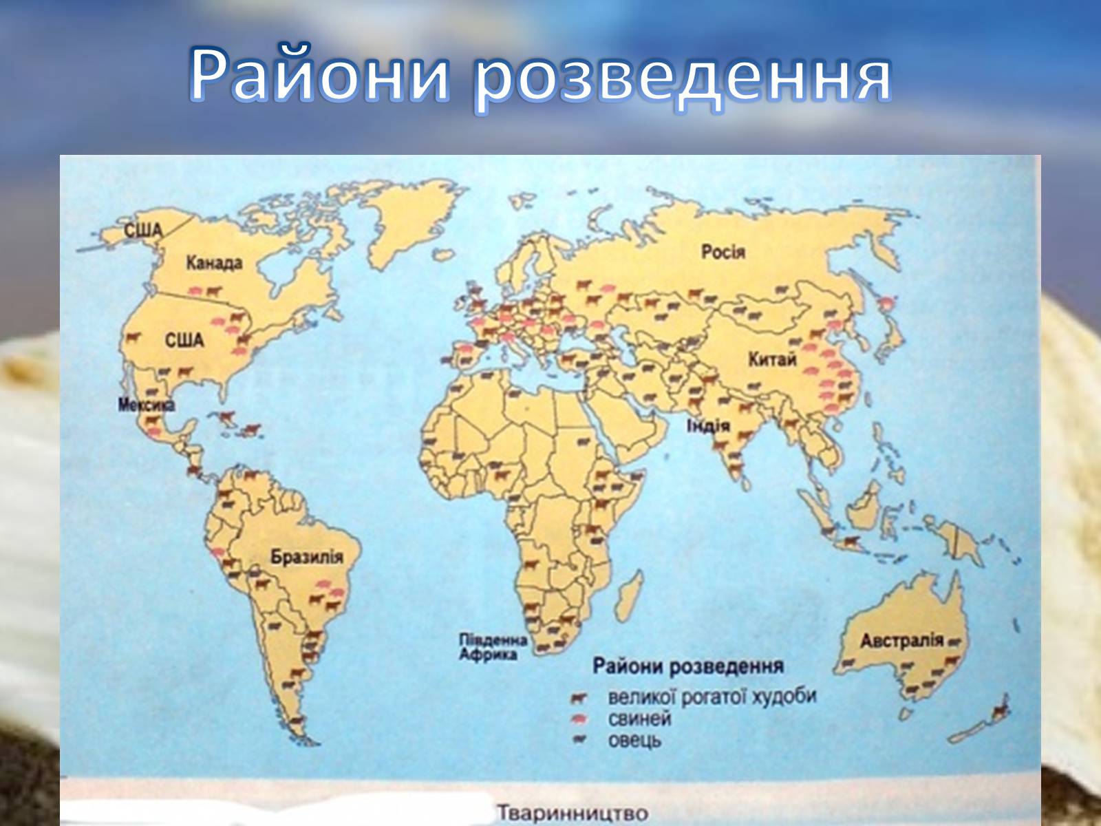 Презентація на тему «Сільське господарство світу» (варіант 2) - Слайд #11 Презентація на тему «Сільське господарство світу» (варіант 2) - Слайд #11