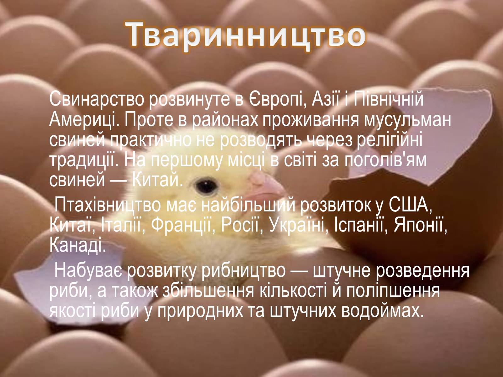 Презентація на тему «Сільське господарство світу» (варіант 2) - Слайд #12 Презентація на тему «Сільське господарство світу» (варіант 2) - Слайд #12