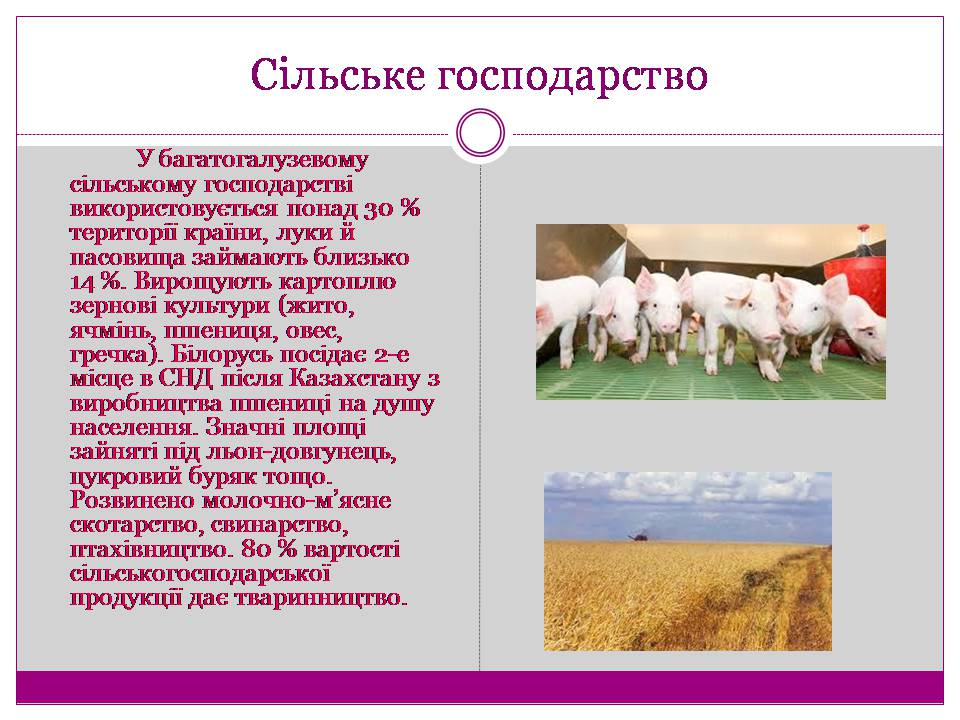 Презентація на тему «Білорусь» (варіант 7) - Слайд #7 Презентація на тему «Білорусь» (варіант 7) - Слайд #7